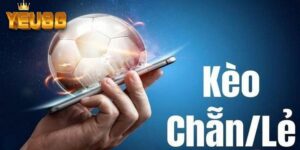 Khám Phá Các Biến Thể Đa Dạng Của Kèo Chẵn Lẻ Yeu88
